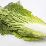 白菜の健康効果と効果の高い食べ方