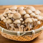 ぶなしめじの主な栄養素と効能、調理法